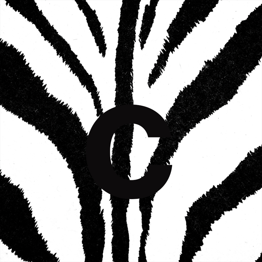 celine-zebra-gif4